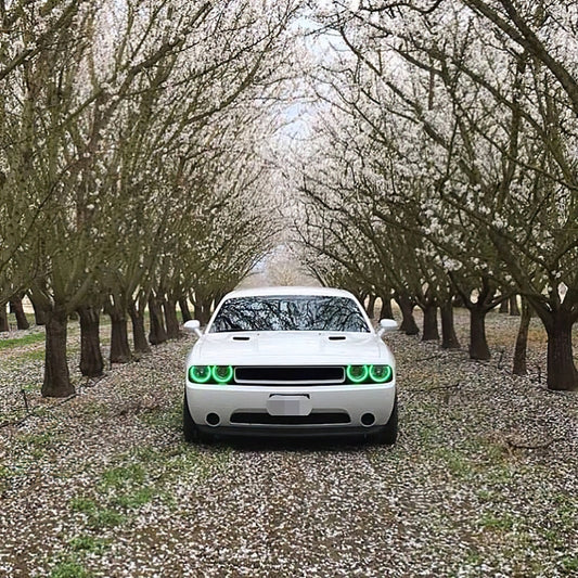 Photo - lifestyle view