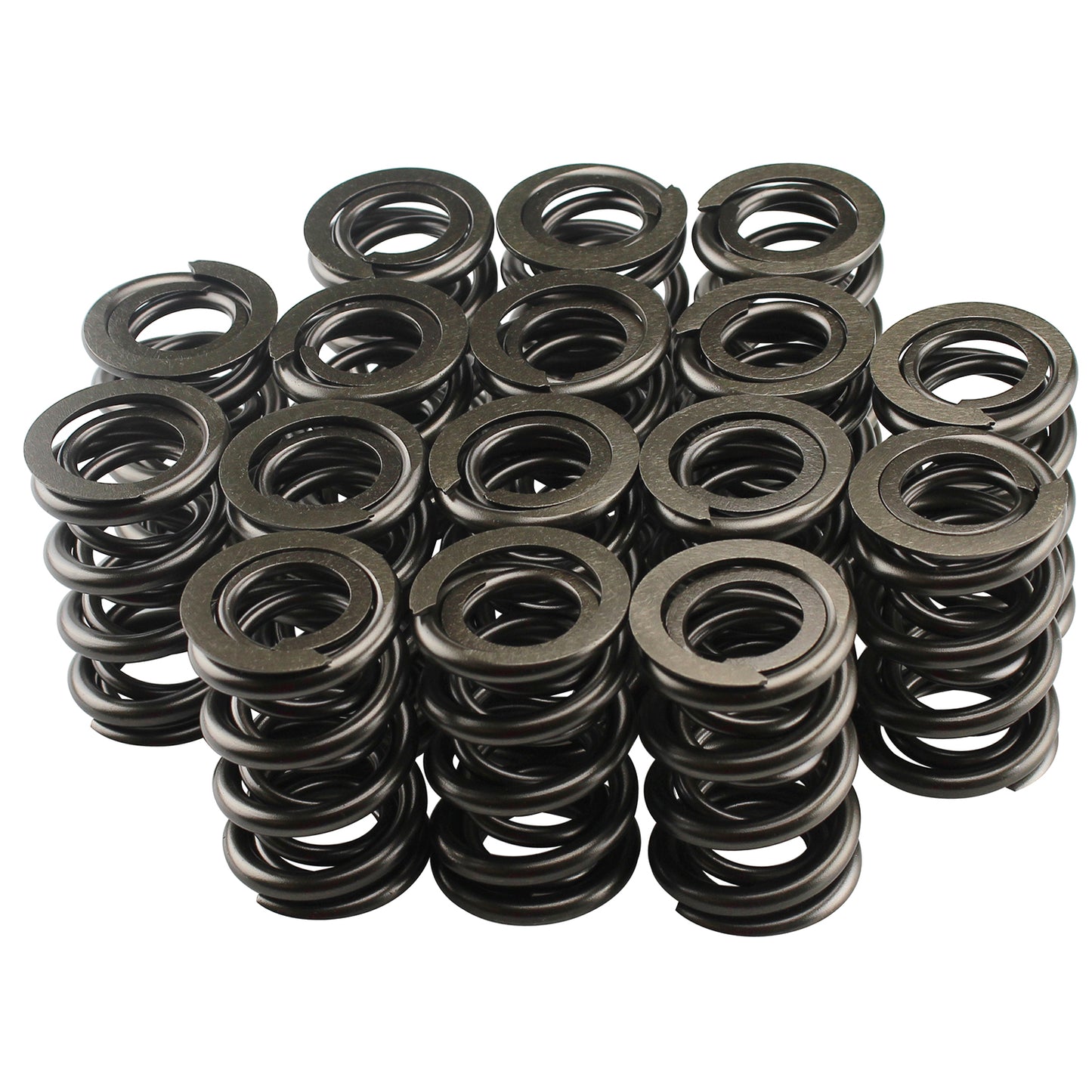 1.625 Dual Valve Springs (16)