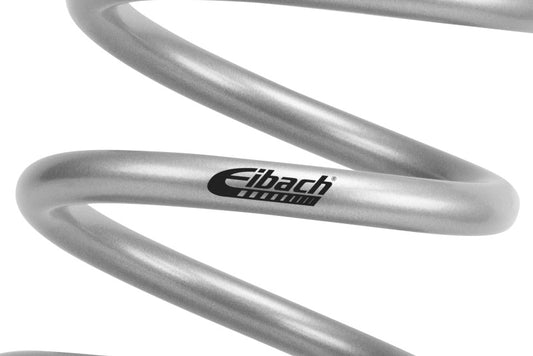 Eibach 2025 Toyota 4Runner Hybrid Pro Lift Kit HD Rear Springs