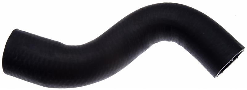 Gates 96-98 Ford Explorer V-8 5.0L Lower - Rad. To Pipe-1 Molded Coolant Hose