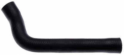 Gates 95-98 Ford Windstar V-6 3.0L Lower Molded Coolant Hose
