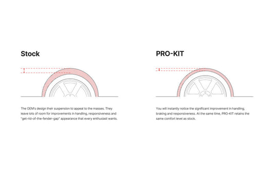 Eibach Pro-Plus Kit for 17-18 Honda Civic Type-R