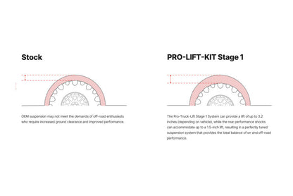 Eibach 18-20 Ford F-150 2WD (Diesel) PRO-Truck Lift System (Stage 1)