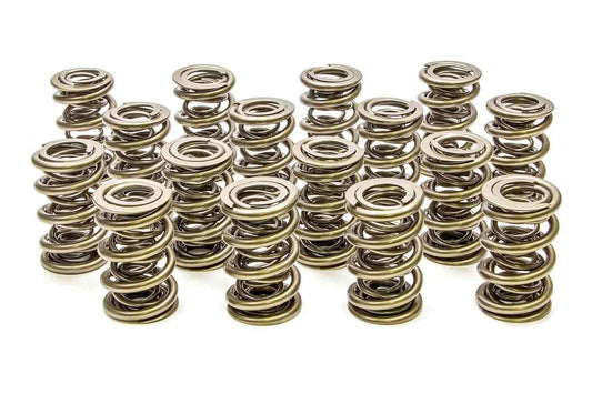 1.667 Triple Valve Springs (16)
