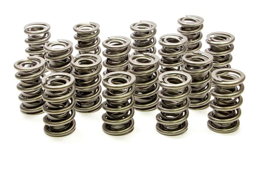 1.564 Dual Valve Springs (16)