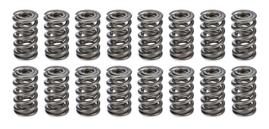 1.284 Dual Valve Springs (16)