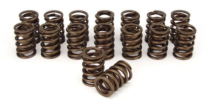 COMP Cams Valve Springs 1.250in Outer W/