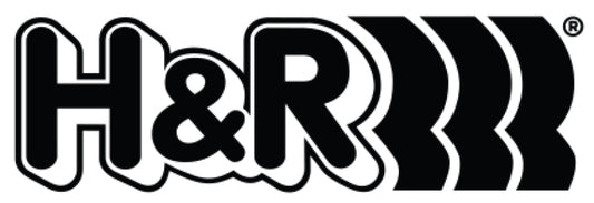 H&R Replacement Sway Bar Hardware (for 71910)
